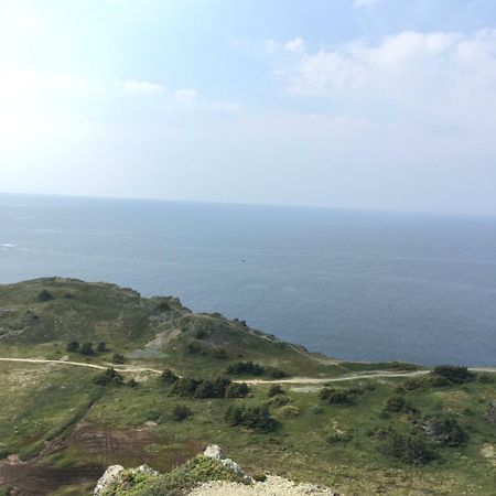 Mermaid Inn Bnb Twillingate Eksteriør bilde